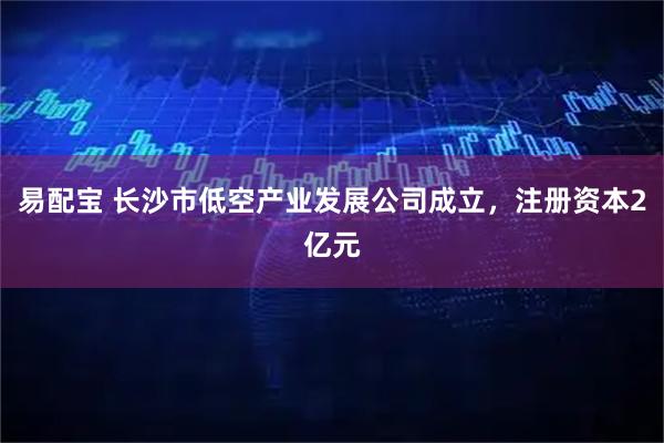 易配宝 长沙市低空产业发展公司成立，注册资本2亿元